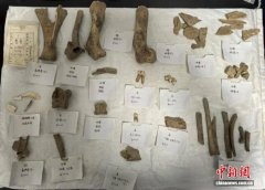 北京多项最新考古研究成果实证中华文明多元一体